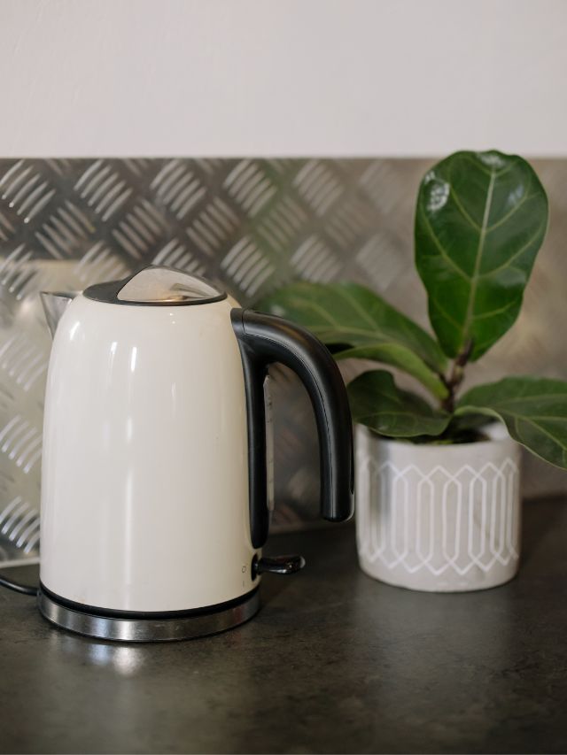 electric kettle and plant