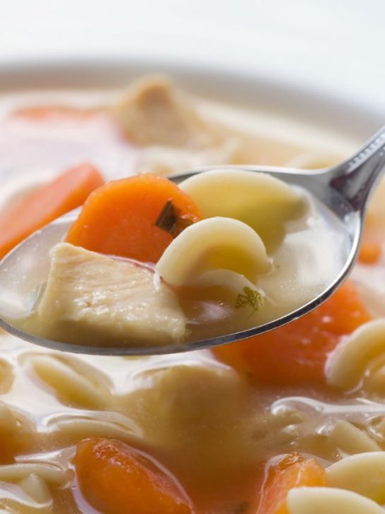 Can You Freeze Chicken And Noodles Soup How To