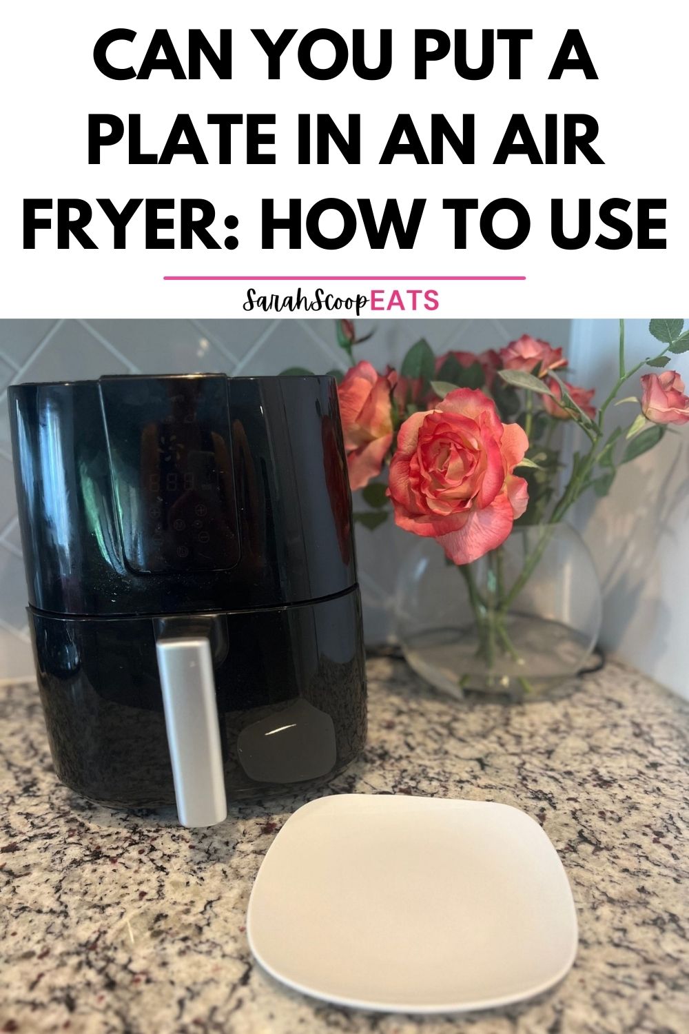 Can You Put A Plate In An Air Fryer