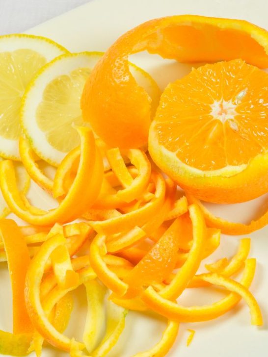 Can You Put Citrus Peels In A Garbage Disposal?