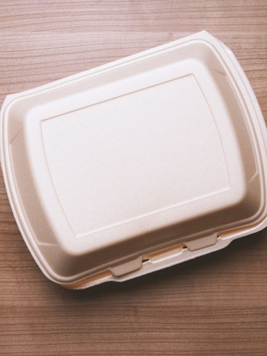 Can You Put Styrofoam In The Oven Or Microwave