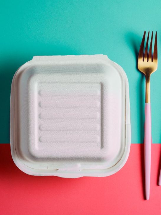 Can You Put Styrofoam In The Oven Or Microwave