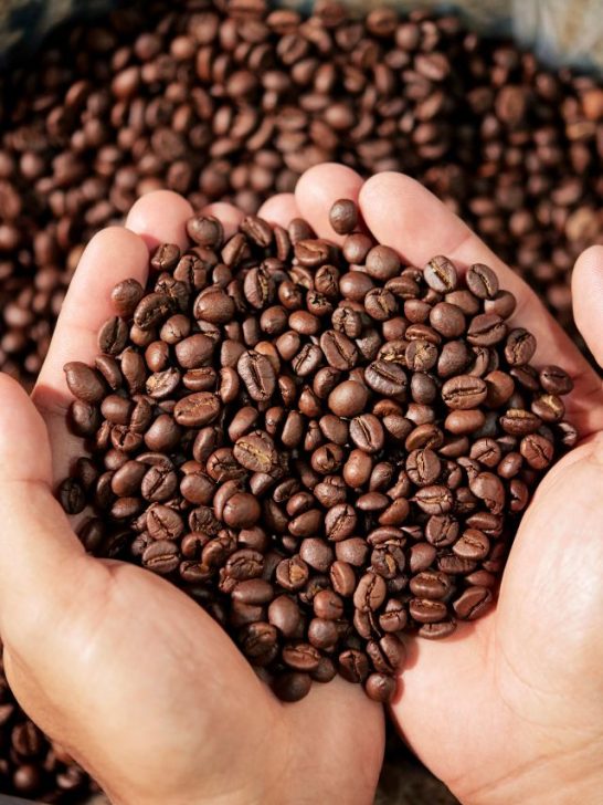 Difference Between Espresso Vs Dark Roast Coffee Beans
