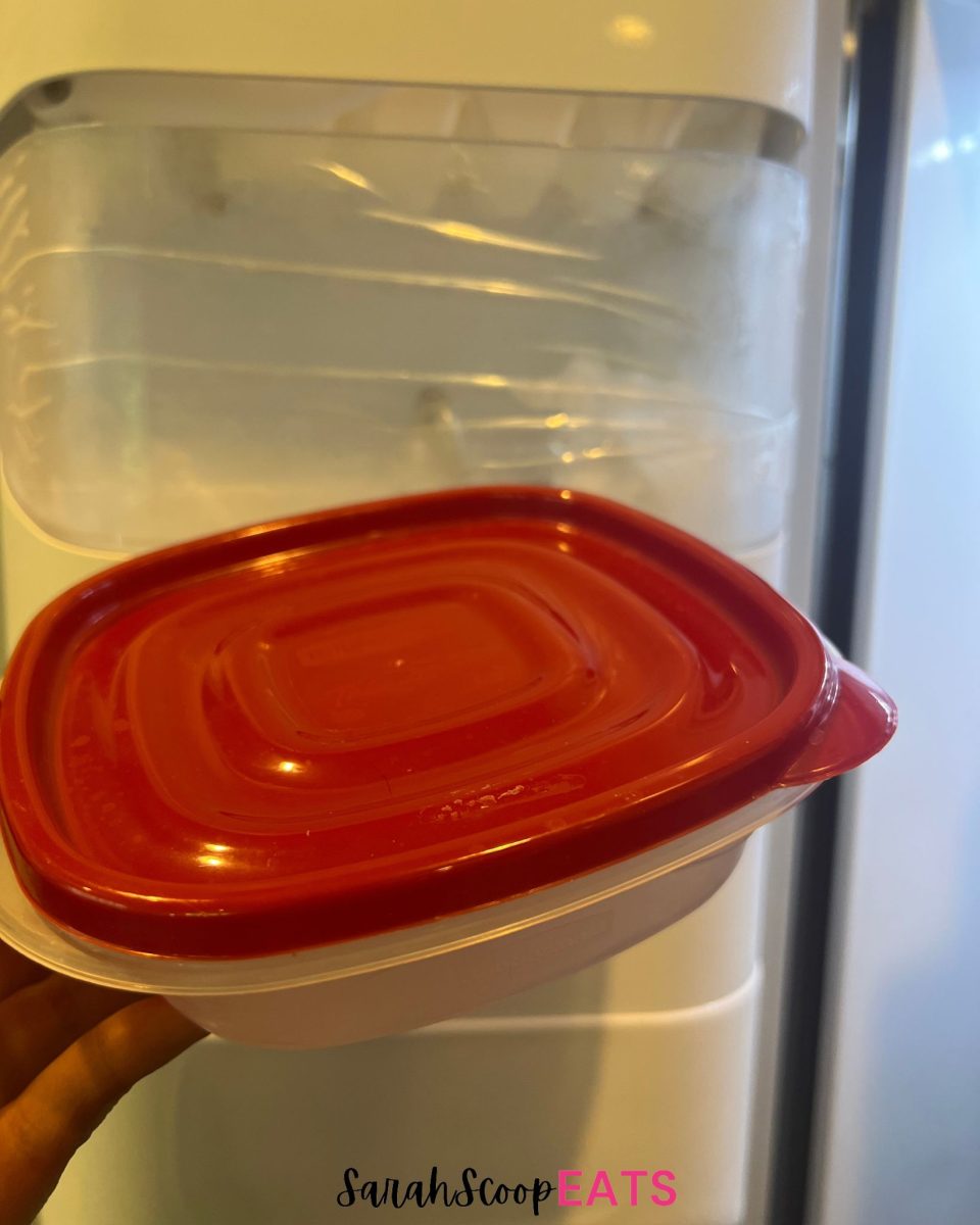 Can You Put Plastic Tupperware in the Freezer? Sarah Scoop EATS