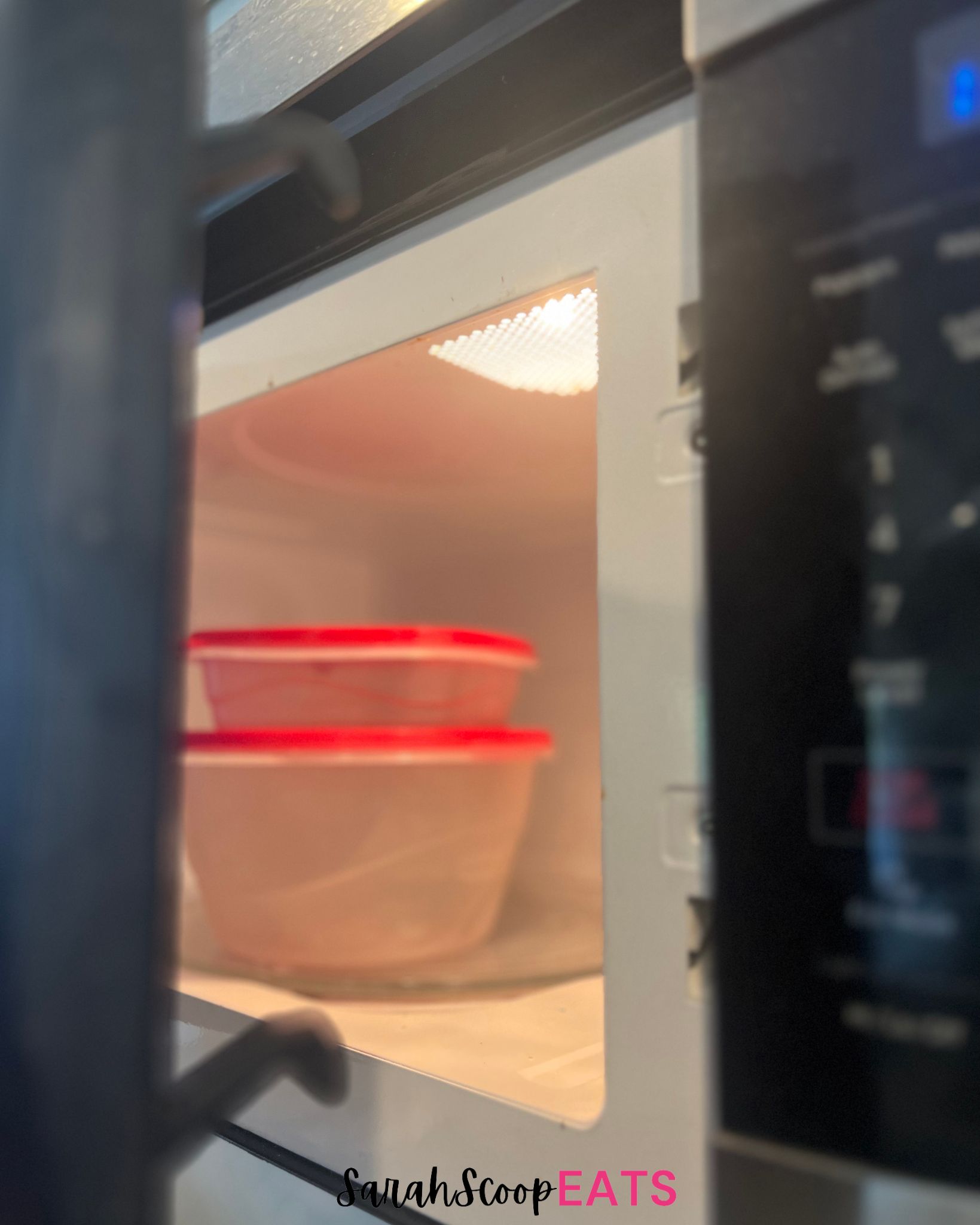 Can You Put Rubbermaid in the Microwave Sarah Scoop EATS