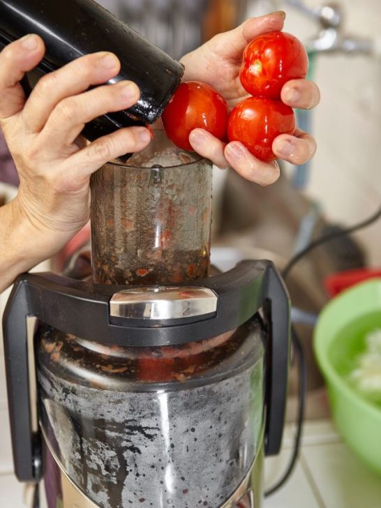 Fast Juicer Vs Slow Juicer Which Is Best 2023