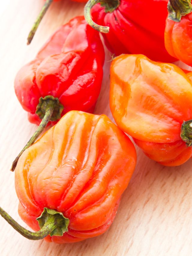 orange and red pepper wood table