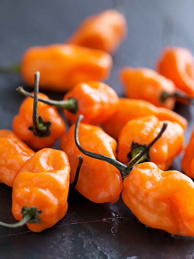 orange peppers on table