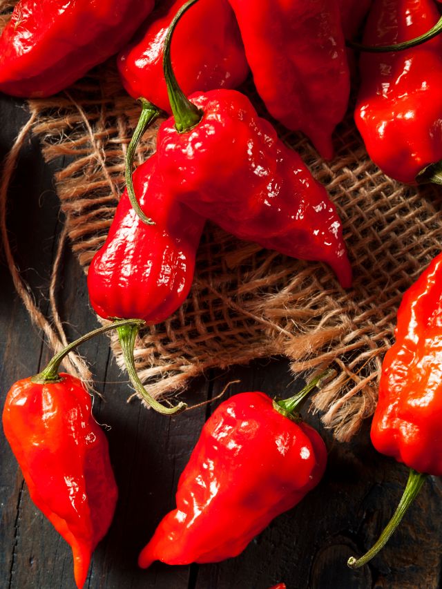 red hot peppers on table
