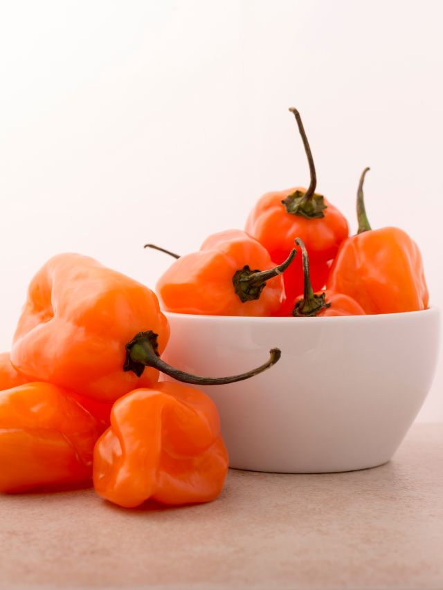 orange habanero peppers in white bowl