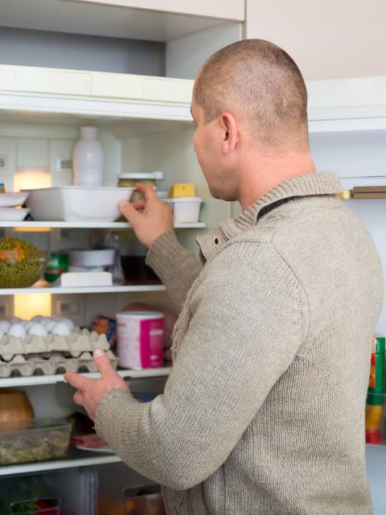 When Can You Put Food In A New Fridge How Long To Wait