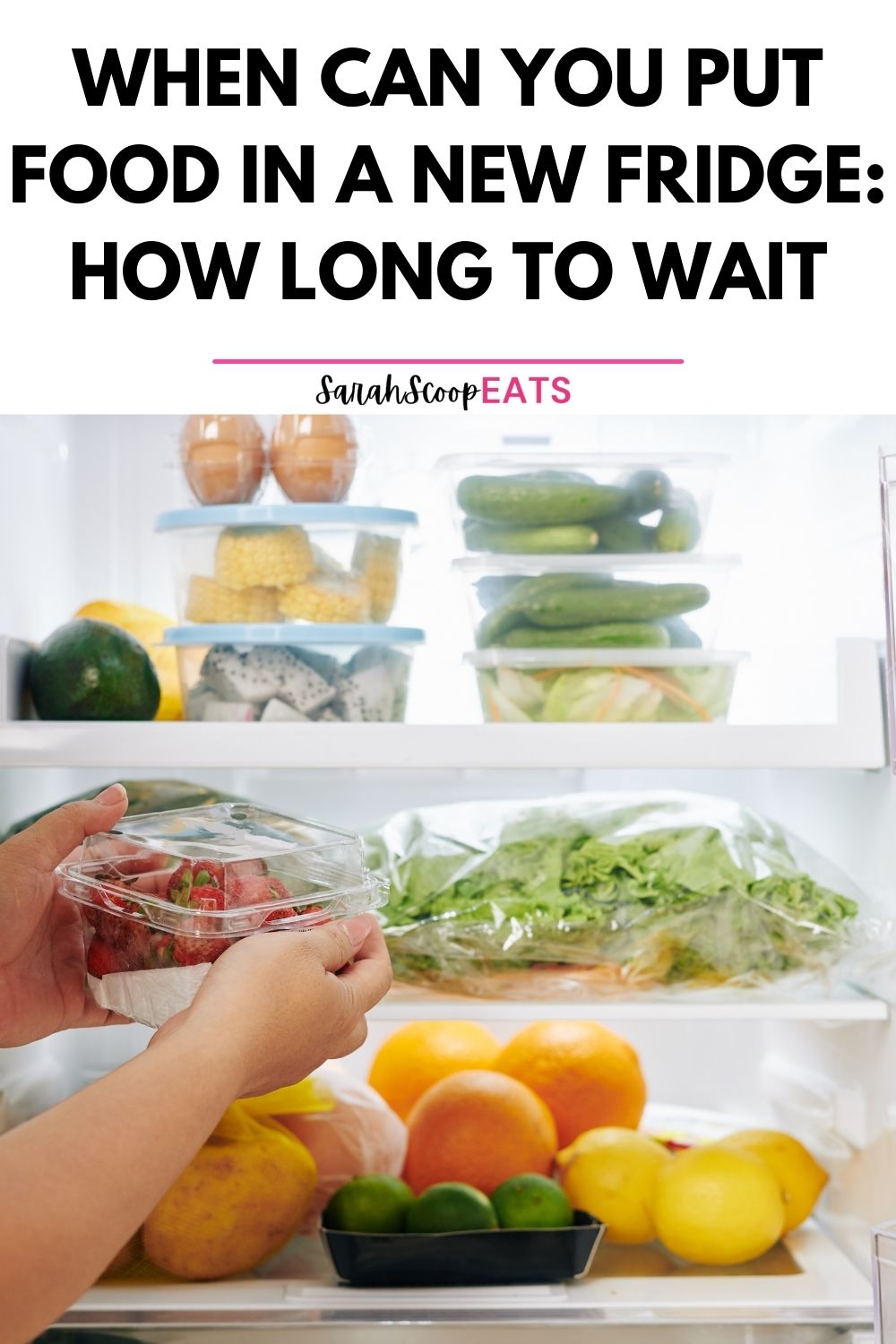 When Can You Put Food In A New Fridge How Long To Wait