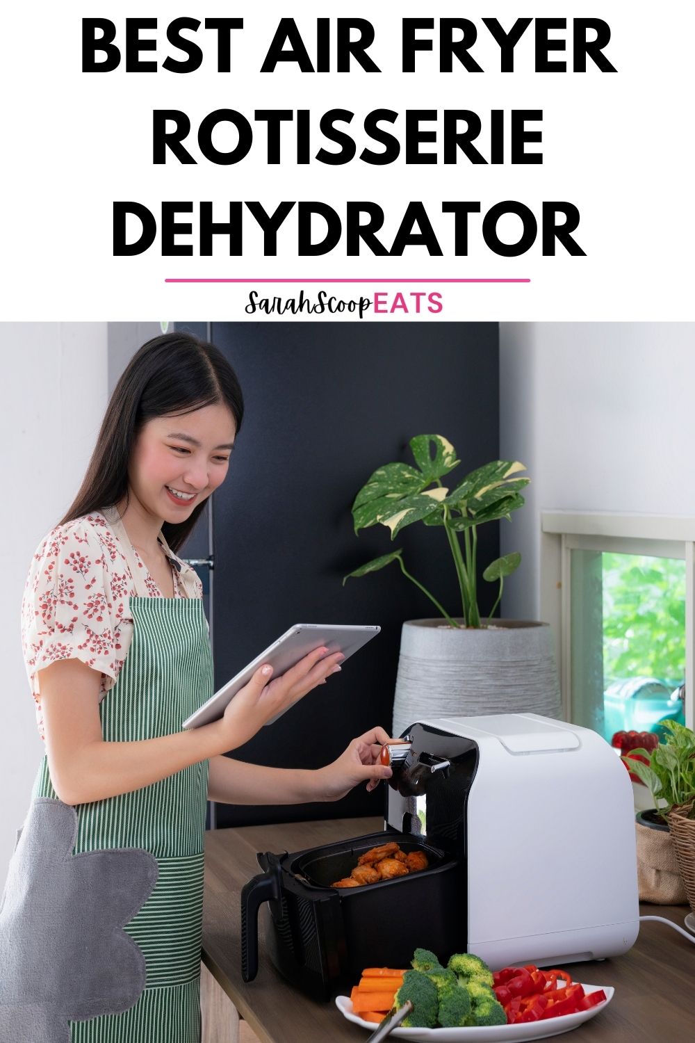 10 Best Air Fryer Rotisserie Dehydrator (2023)
