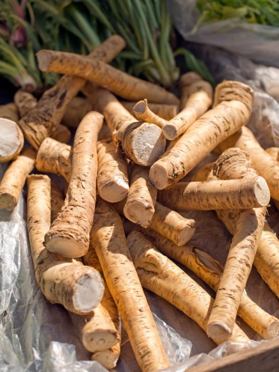 20 Best Horseradish Substitute Options Sarah Scoop EATS