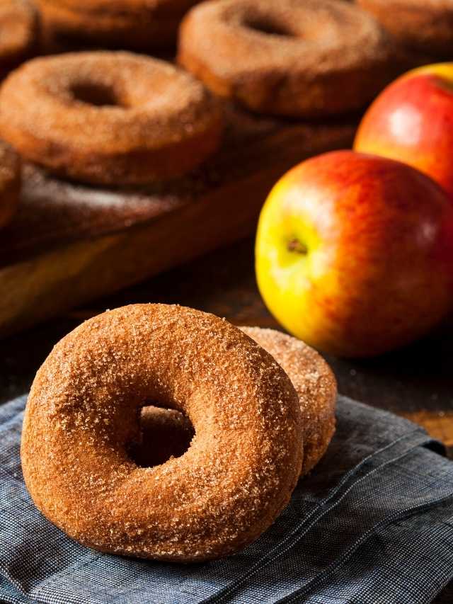 Baked Cinnamon Apple Cider Donuts Recipe