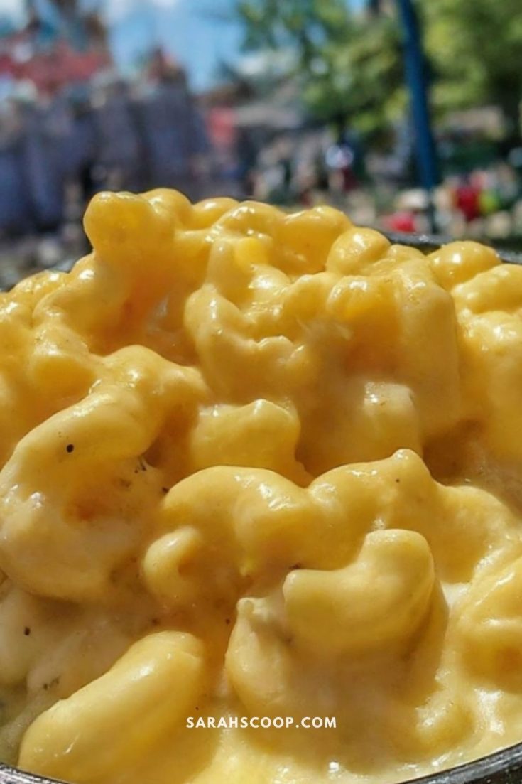 Close-up of creamy macaroni and cheese with blurred background.