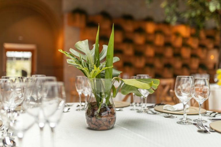 special occasion dinner ideas